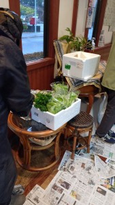 565814573_1396553659137654_7979182993247489282_n(加工)