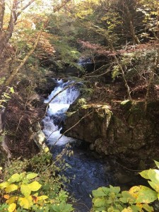 03_鹿又川渓谷(加工)