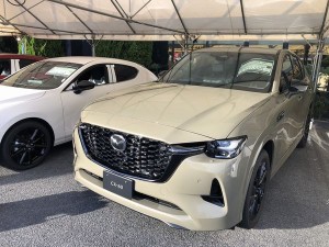 10 1762227158210(加工)