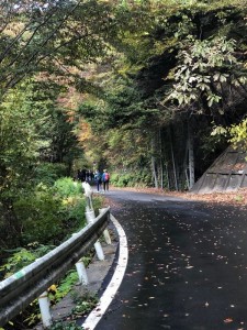 02_鹿又川渓谷ウォーキング(加工)