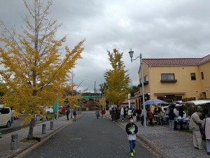 8 IMG_20251109_065050_1(加工)