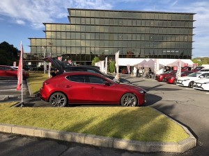 2 1762227141756(加工)