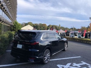 13 1762227164330(加工)