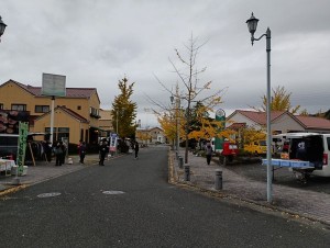 1 IMG_20251109_064938(加工)