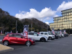 2 1770008639089(加工)