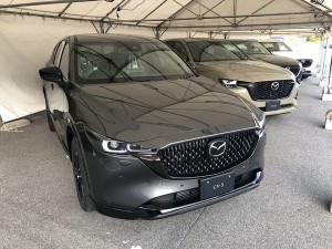 5 1773031872699(加工)