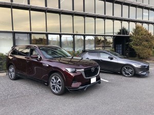 8 1773031909733(加工)