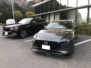 7 1773031906901(加工)